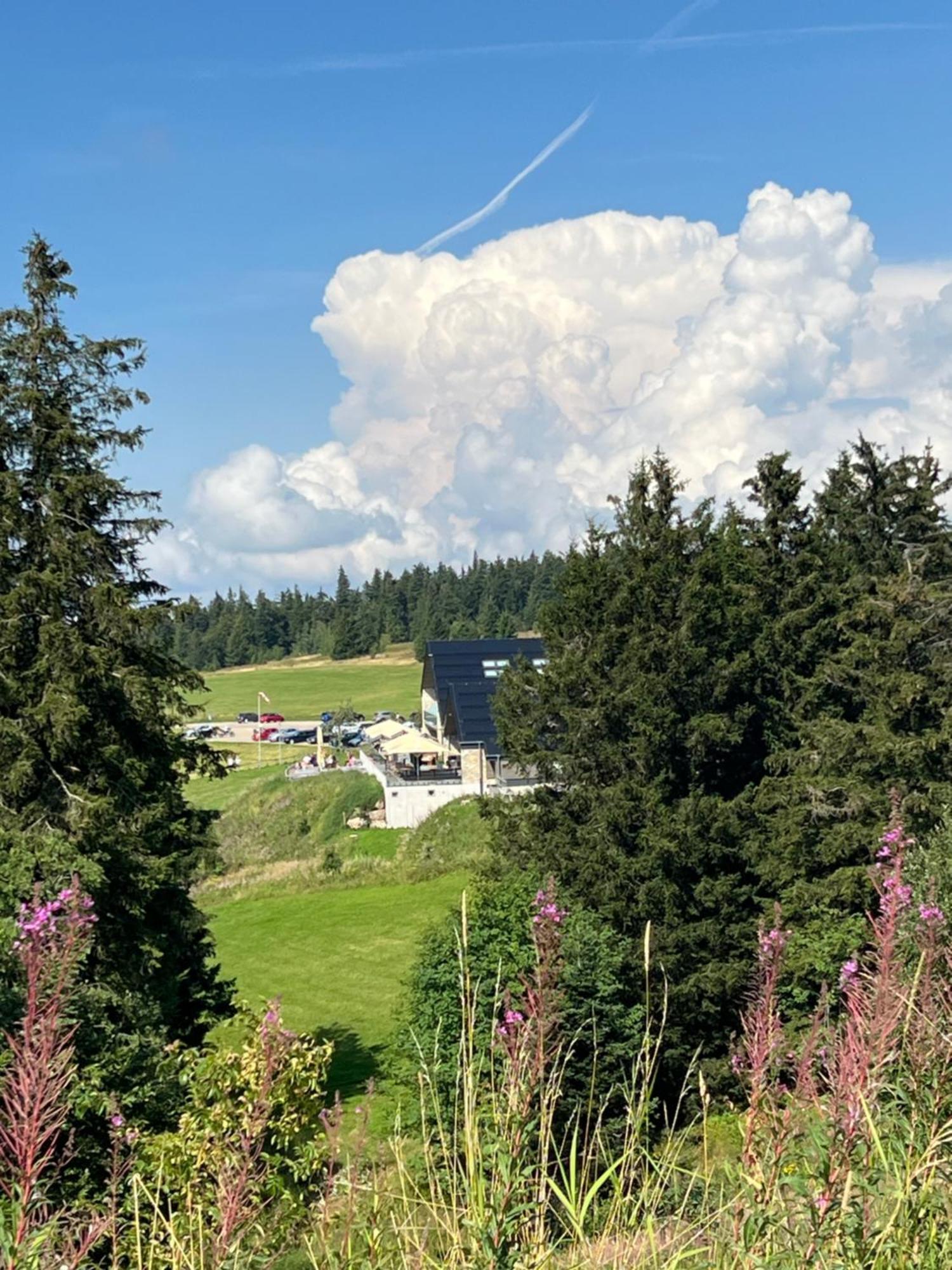 Bergwelt Kandel Hotel & Eventlocation 瓦德奇 外观 照片